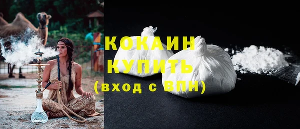 молекула духа Гусиноозёрск