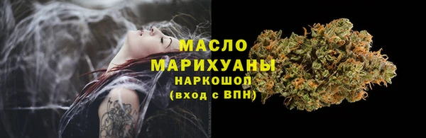 молекула духа Гусиноозёрск