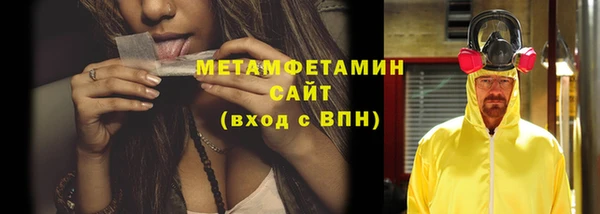 трава Анжеро-Судженск