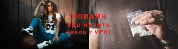соль ск Гусев