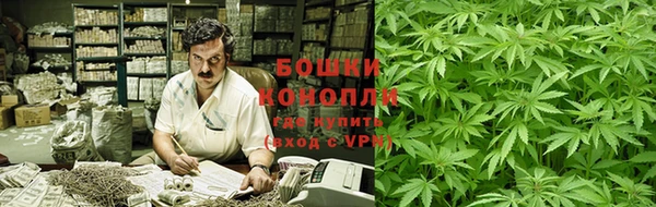 молекула духа Гусиноозёрск
