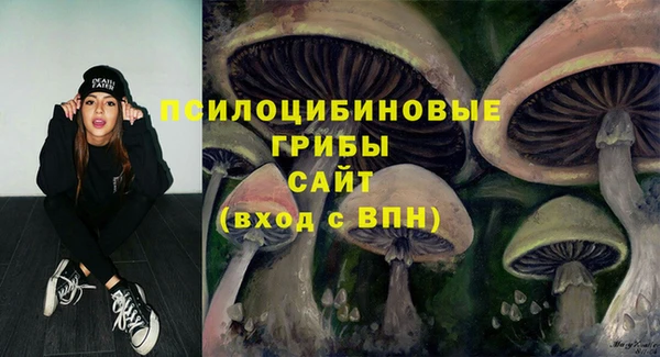 соль ск Гусев