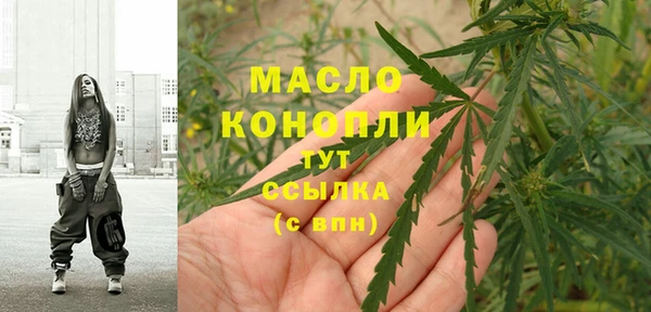 молекула духа Гусиноозёрск
