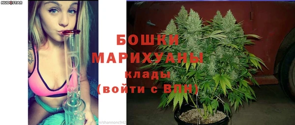 соль ск Гусев