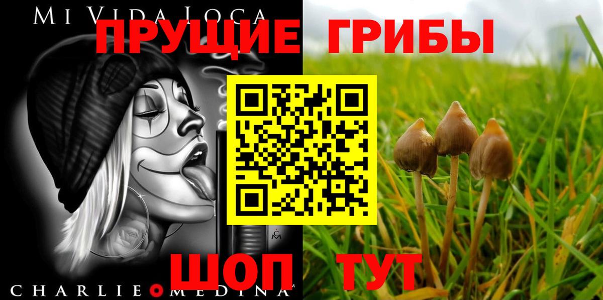 Псилоцибиновые грибы GOLDEN TEACHER  Вход с VPN  где продают   Знаменск 