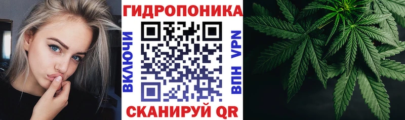 продажа наркотиков  Знаменск  MEGA ССЫЛКА  Каннабис Amnesia 
